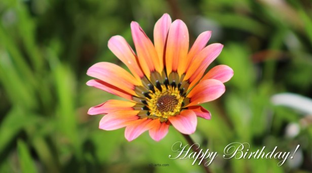 Image of Birthday Card