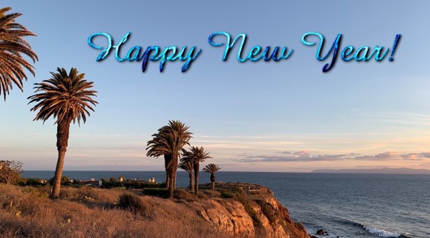 Image of New Year Card with Palm Trees