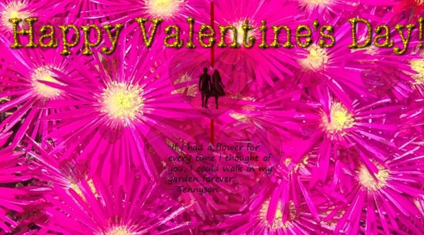 Image of Valentine's Day Card