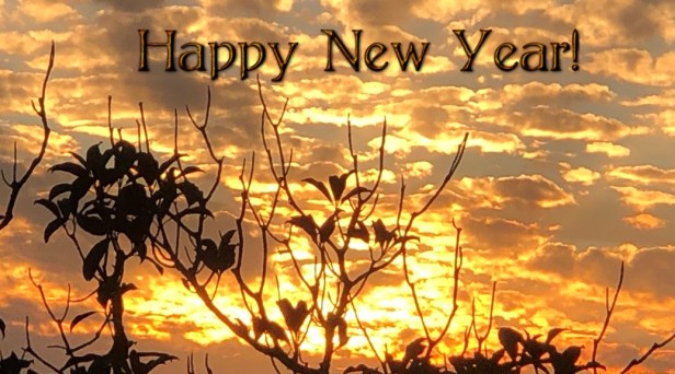 Image of Happy New Year 6